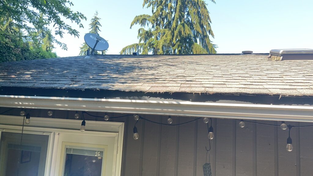 How To Tell If You Need A New Roof