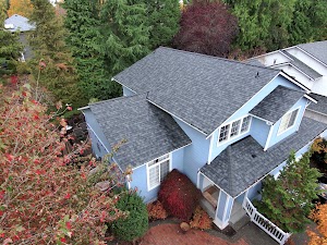 Orca Roofing & Exteriors