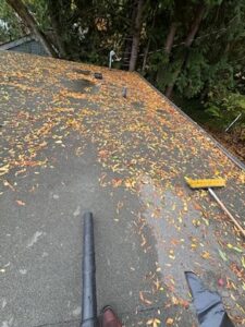 dirty roof in bellevue cleaned by orca roofing