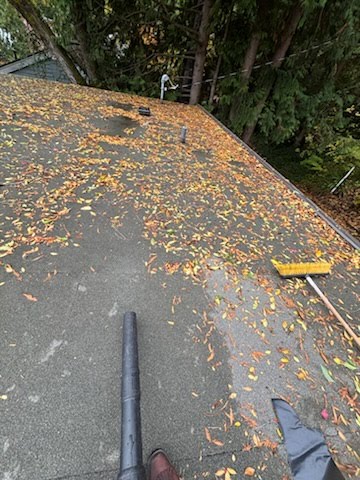 dirty roof in bellevue cleaned by orca roofing