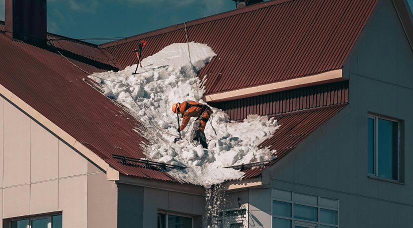 roof cleaning in washington state