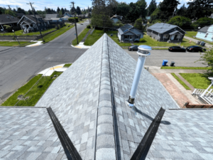 roof cleaning Maple Valley