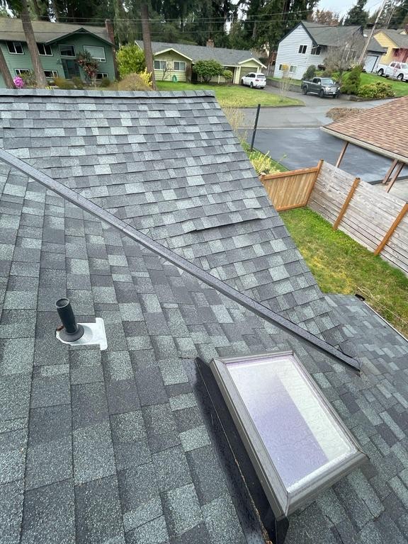 home roof shinglesa