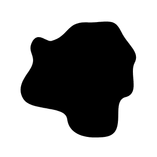 attic water stain