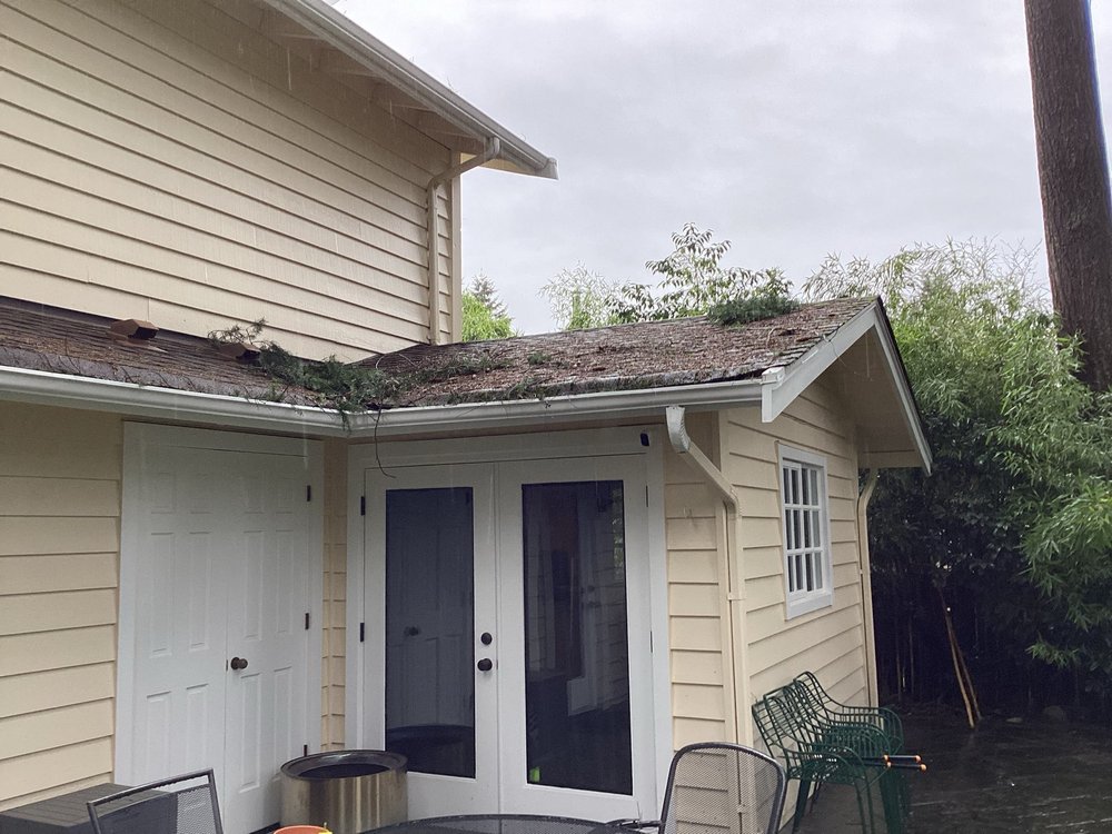 CertainTeed Northgate shingles in Moire Black on a Mercer Island home.


