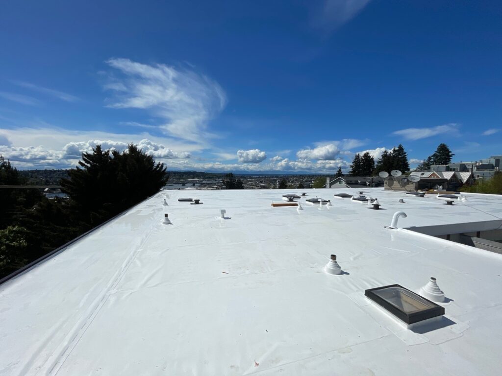 flat roof replacement