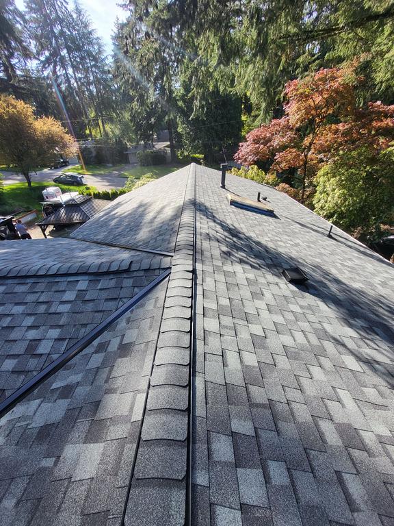 cost of a new roof