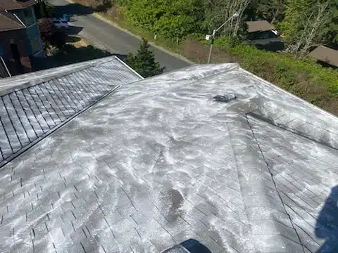 roof cleaning services