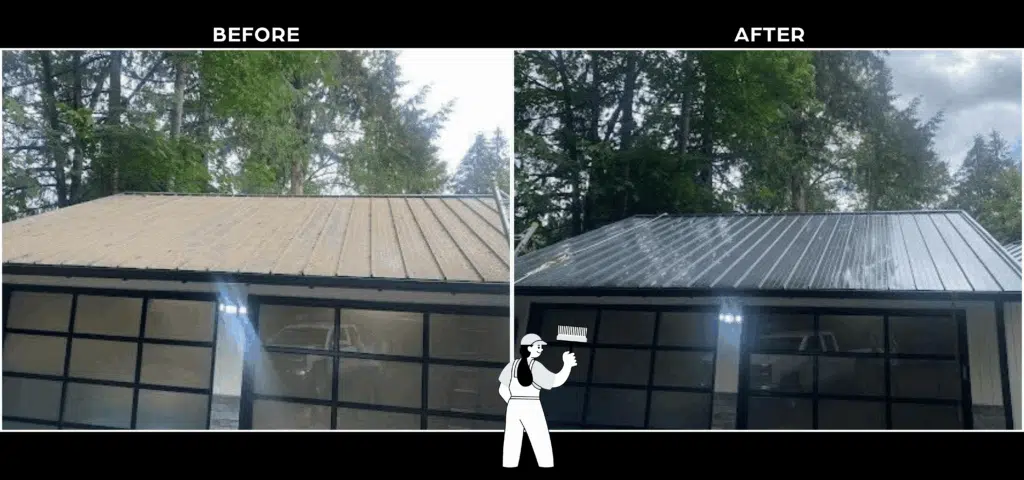 roof cleaning services