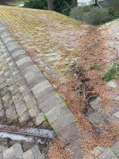 Bellevue roof cleared of dirt, debris, and moss.


