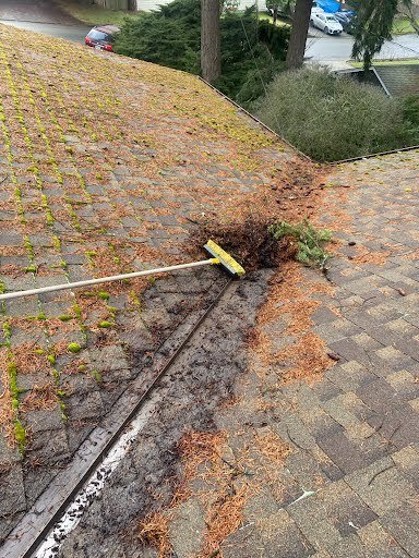 Orca Roofing's cleaning service in Bellevue, WA

