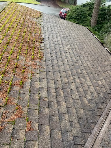 Bellevue roof looking good as new after professional cleaning.







