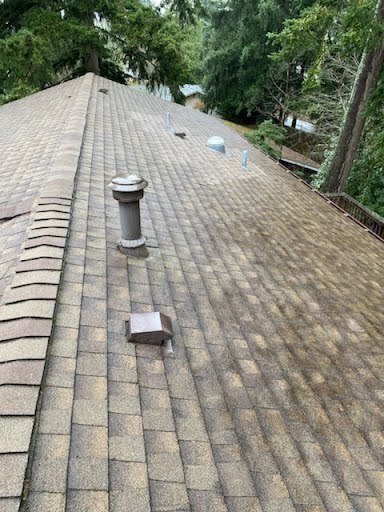 Expert roof cleaning by Orca Roofing team in Bellevue.

