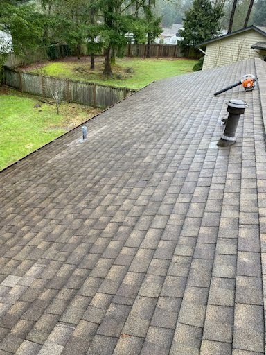 Maintaining roof health with cleaning service in Bellevue, WA.


