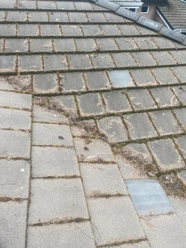 Mercer Island roof cleared of moss and debris.

