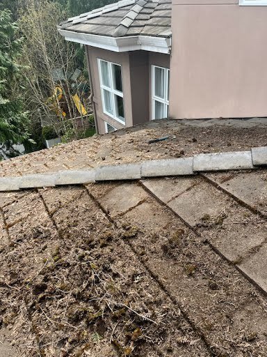 Professional roof cleaning enhancing a Mercer Island home.

