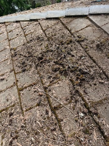 Expert roof cleaning by Orca Roofing on Mercer Island.

