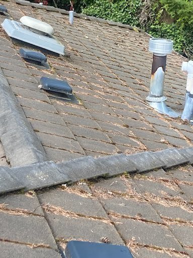 Maintaining roof health with cleaning in Mercer Island, WA.

