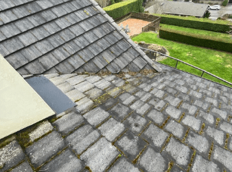 Edmonds roof transformation with professional cleaning service.

