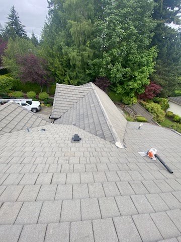 Brighter roof and increased curb appeal after cleaning in Edmonds.

