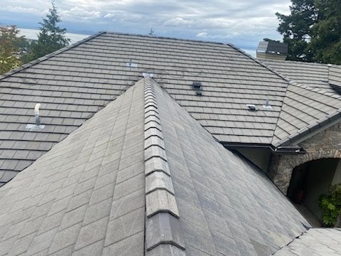 Longer lifespan for shingles after professional cleaning in Edmonds.

