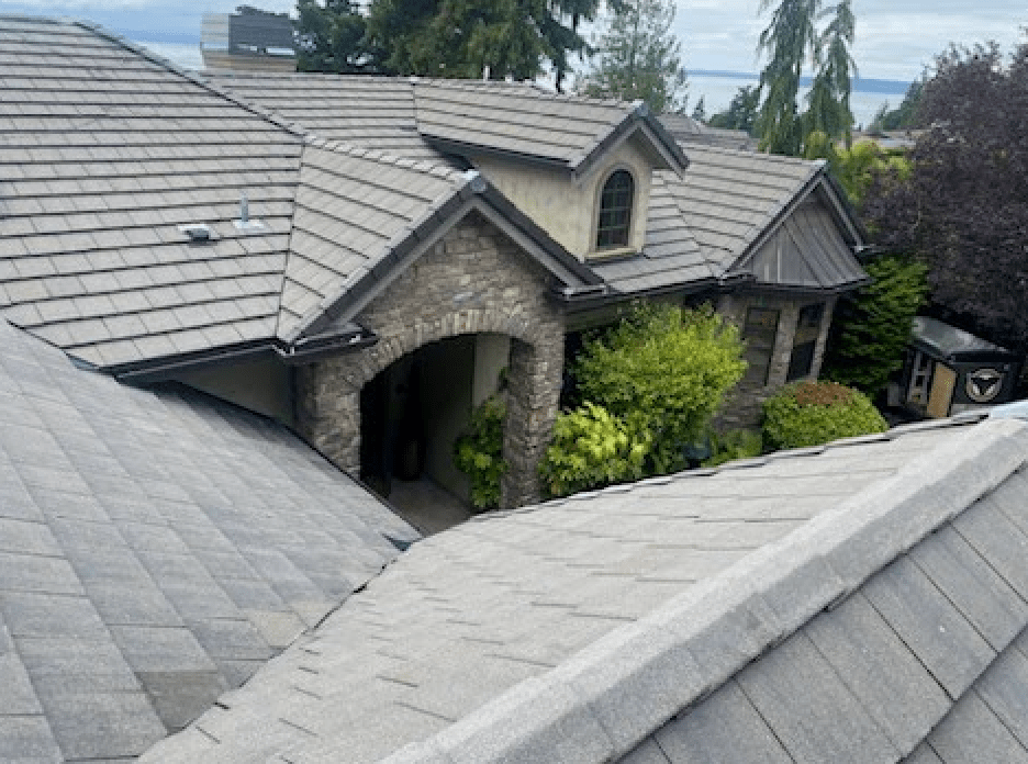 Edmonds, WA roof cleaning showcasing excellent results.