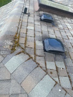 Redmond roof cleared of dirt and moss.

