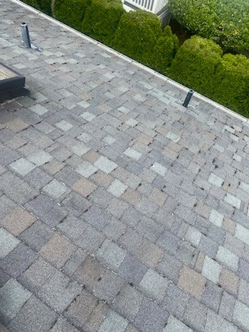 Professional roof cleaning enhancing a Redmond home's appearance.

