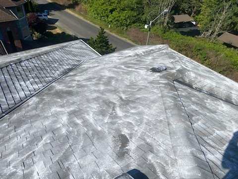 Expert roof cleaning by Orca Roofing in Redmond, Washington.

