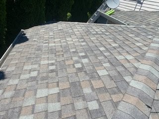 Maintaining roof health with cleaning in Redmond, WA.

