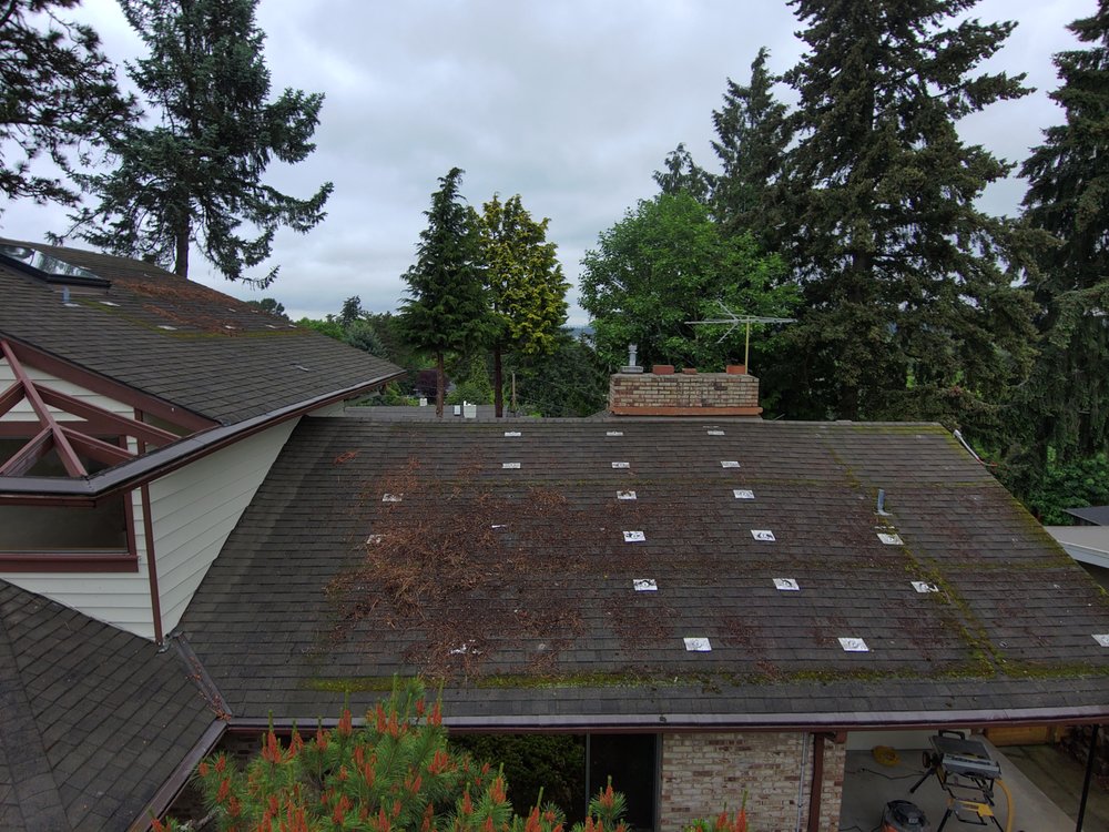 Orca Roofing's shingle roof project protecting a Mercer Island home.

