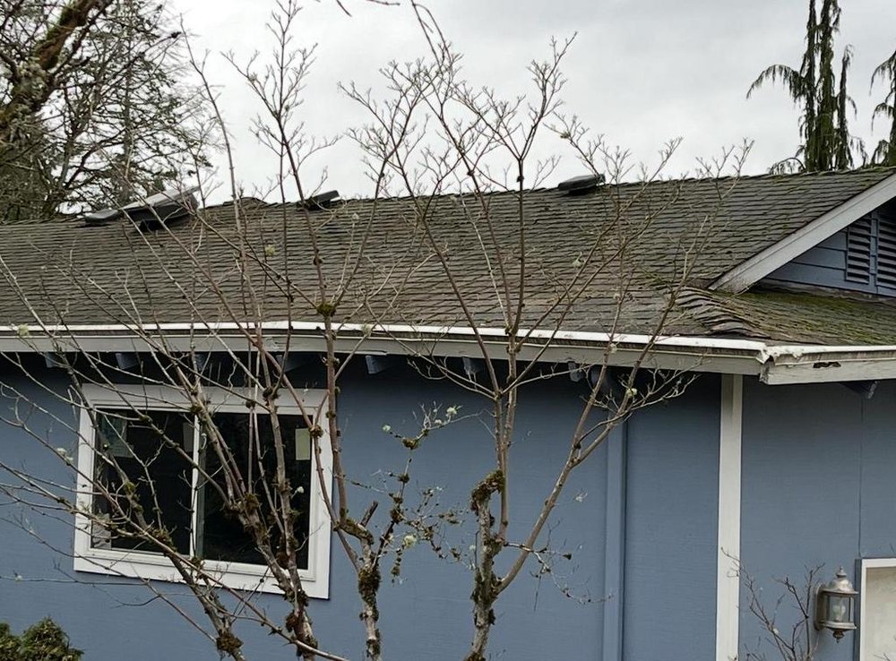 Shingle roof replacement in Redmond, WA by Orca Roofing & Exteriors.


