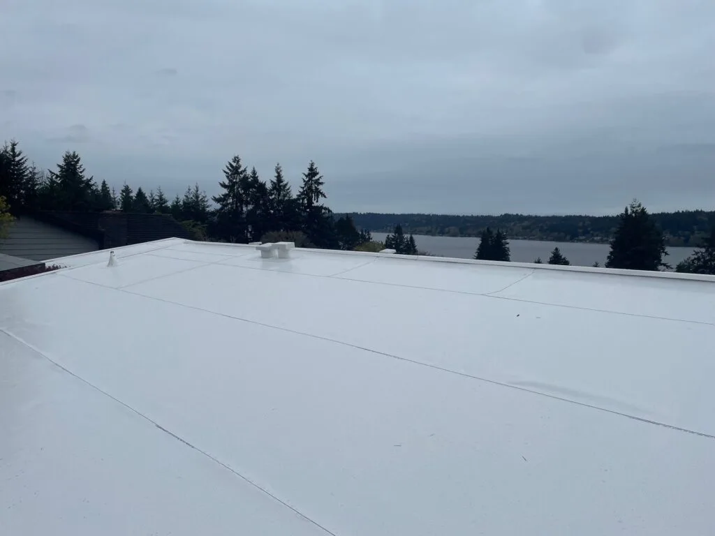 flat and low slope roofs