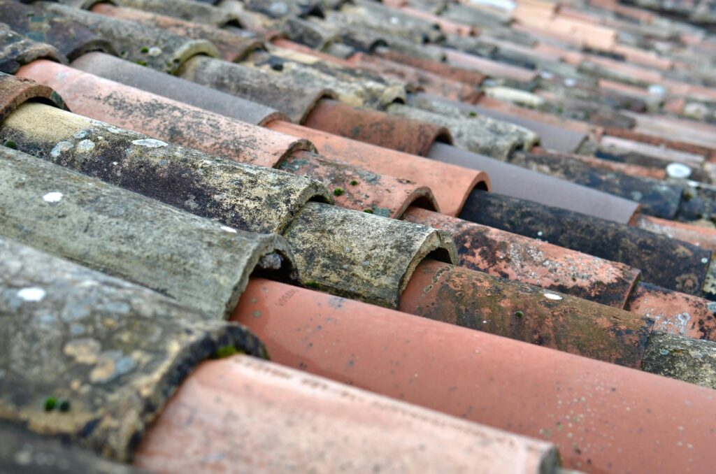 Moss-covered roof shingles on a Puyallup home after heavy rain