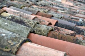 Moss-covered roof shingles on a Puyallup home after heavy rain