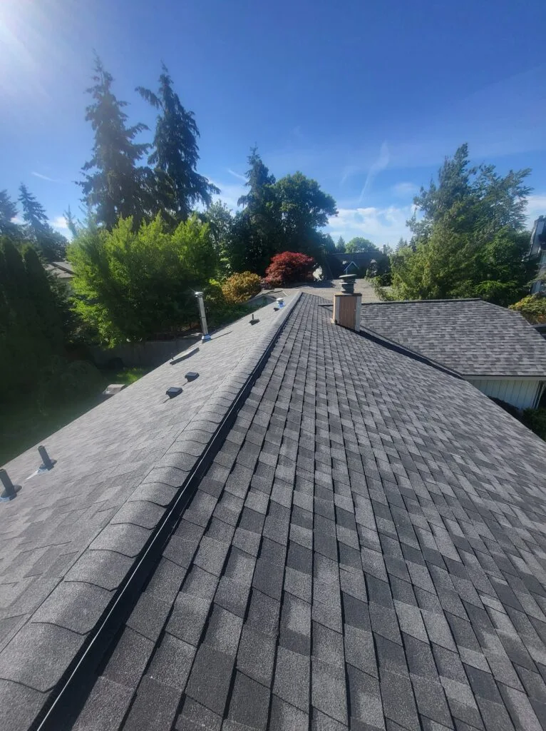 asphalt shingle roof in puyallup