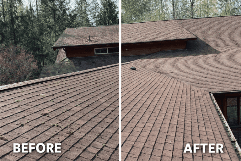 Before and after comparison highlighting a common roofing problem where moss growth traps moisture and accelerates shingle deterioration.